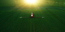 Tractor Spraying Pesticides On Wheat  Field With Sprayer  In Spring.