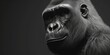 © RenePierre - Black and white portrait, close-up of gorilla, Generative AI