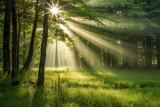 Fototapeta  - Sunlight and god rays passing through a dense forest. Generative Ai Illustration.