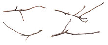 Dry Twig On A Transparent Isolated Background. Png