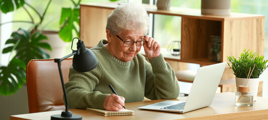 Senior woman working with laptop and notebook in office