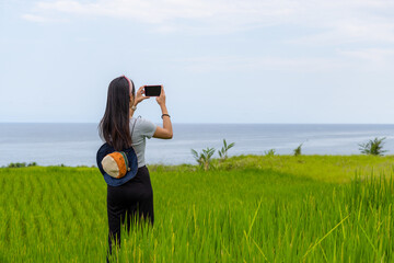 Wall Mural - Tourist woman use cellphone to take photo with rice field