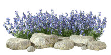Flowers Blossoming And Rocks Composition Design Cutout Backgrounds 3d Rendering Png