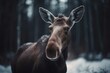 Adorable moose in a wintry fantasy setting. Generative AI