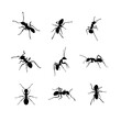 silhouettes of ants in different poses, ant vector