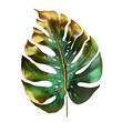 Beautiful tropical leaf painted in green and gold illustration art on transparent background. Generative Ai.