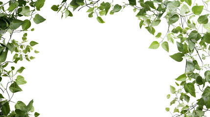 Wall Mural - leafy garlands as a frame border, isolated with copyspace