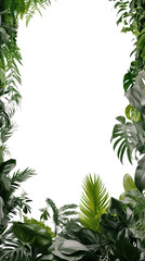Wall Mural - lush plants as a frame border, isolated with copyspace