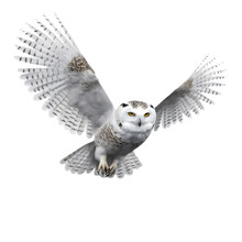 Flying Snowy Owl Isolated On A Transparent Or White Background As PNG, Generative AI Animal