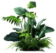 Green tropical foliage isolated on a transparent or white background as PNG, generative AI plant