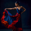 Beautiful Spanish Woman Dancing Flamenco Background Cover Journal Digital Art 