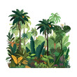 tropical rainforest paradise landscape