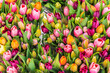 © robertharding - Colourful fresh tulips on sale in flower market, Amsterdam, Netherlands, Europe