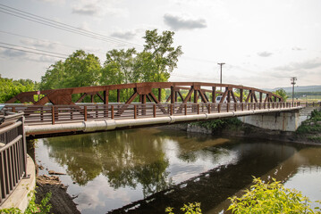 Canvas Print - The Carmine Liberta bridge 