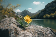 Bright Yellow Blossom On Stone Near Lake In Canyon With Mountain, Blue Sky. Generative AI