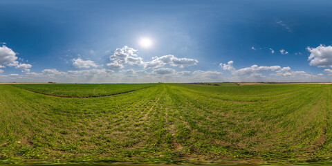 Wall Mural - spherical 360 hdri panorama among green grass farming field with clouds on blue sky with sun in equi