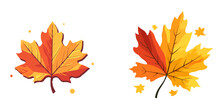 Collection Beautiful Colorful Autumn Leaves Vector