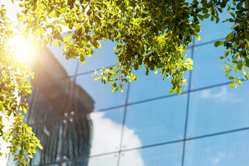 Wall Mural - Clouds reflected in modern office building wall