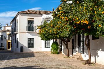 Wall Mural - house with orange trees Ronda Spain