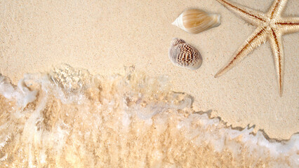 Canvas Print - Seashells and starfish with ocean water waves