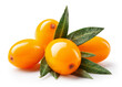 Buckthorn isolated. Sea buckthorn with leaves on white background. Buckthorn berries with clipping path. Full depth of field. Perfect retouched image.