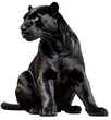 Sitting black panther isolated on a white background as transparent PNG, generative AI animal