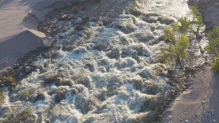 Wall Mural - Close-up shot of mountain river with rapids surrounded by  forest and meadow. National park in fall summer sunny day. Clear stream running through the rocky, clean water.