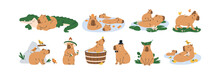 Cute Capybaras Set. Funny Amusing Capibara Characters Swimming In Water, Bathing, Walking, Relaxing, Playing. Adorable Nice Animal. Childish Flat Vector Illustrations Isolated On White Background