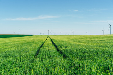 Wind turbine farm in green wheat field