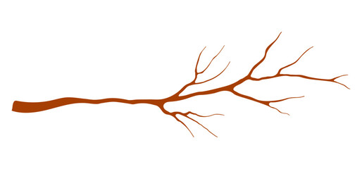 Tree branch, twig, stick illustration. Hand drawn style flat design, isolated vector. Botanical, plant element wood