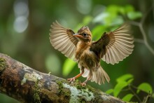 Baby Bird Taking Its First Flight, Spreading Its Wings, Created With Generative Ai