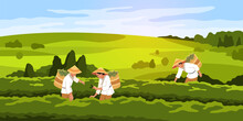 Tea Pickers. People In Vietnamese Hats On Green Plantation Collect Leaves In Large Baskets, Hot Drink Raw Materials. Green Horizontal Landscape, Cartoon Flat Illustration. Tidy Vector Concept