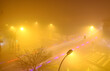 City In winter, fog affects traffic negatively
