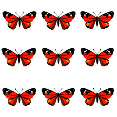 Wall Mural - Set of red admiral butterflies from Generative AI