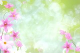 Fototapeta Kosmos - Spring background with flowers, soft light, gentle tones