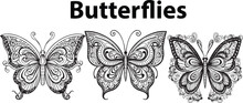 A Set Of Coloring Books Of Butterfly Vector Illustrations.