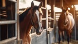 Fototapeta Konie - horse in the stable, ai generative