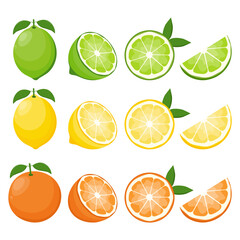 Wall Mural - big vector set of citrus fruits.orange,lemon and lime icons on white background.vector illustration