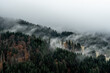 Aerial view of misty clouds floating over a forest in the Austrian Alps