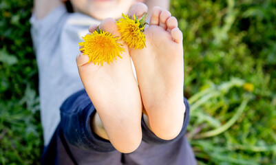 Wall Mural - Dandelion baby legs, spring sunny weather.