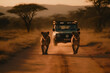 Safari lionesses walking on dirt road in front of safari jeep
