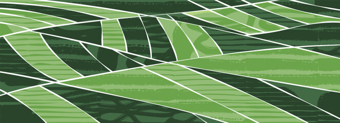 Wall Mural - green abstract rice field top view texture vector background. nature pattern, eco illustration, coun