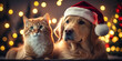 © foto.katarinka - The concept of celebrating Christmas. A red cat and a golden retriever in a red cap with a pumpon against the background of the glare of lights and a Christmas tree. Generated AI Generative AI