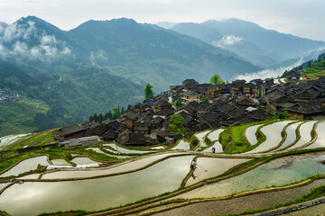 Wall Mural - landscape of terrace fields, forest and villages in fog and clouds