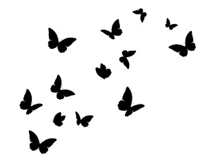 black butterfly hand drawn design