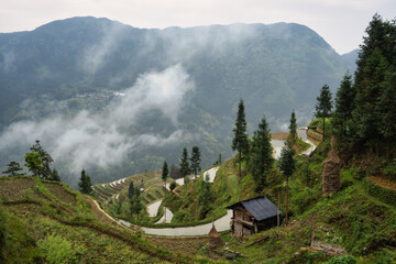 Wall Mural - landscape of terrace fields, forest and villages in fog and clouds