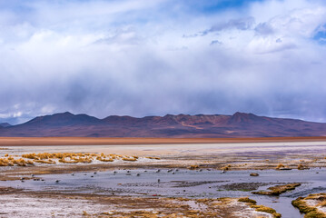Wall Mural - Landscape with mountain and small lagoon in the bolivian plateau