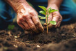 © tilialucida - A close up of a person holding a plant. Generative AI. Planting trees for green sustainable future.
