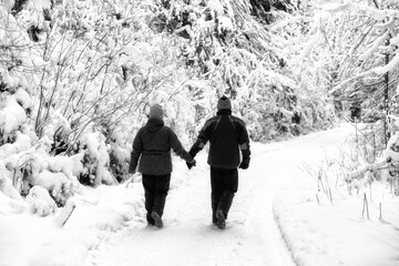 Wall Mural - Seniors walking in snowy nature