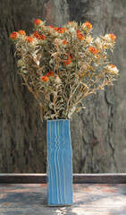 Wall Mural - front view beautiful dry orange flowers bouquet in blue ceramic vase on wooden table, blur nature background, decor, nature, gift, copy space